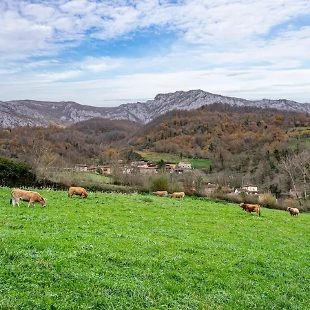 La Carrozal Senda Del Oso Kır Evi